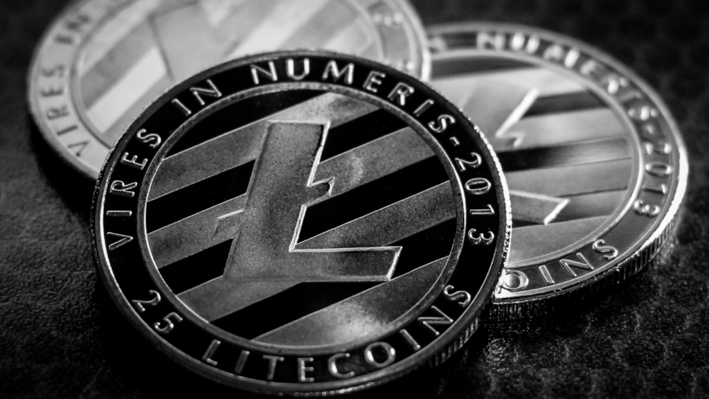 close up image of litecoin