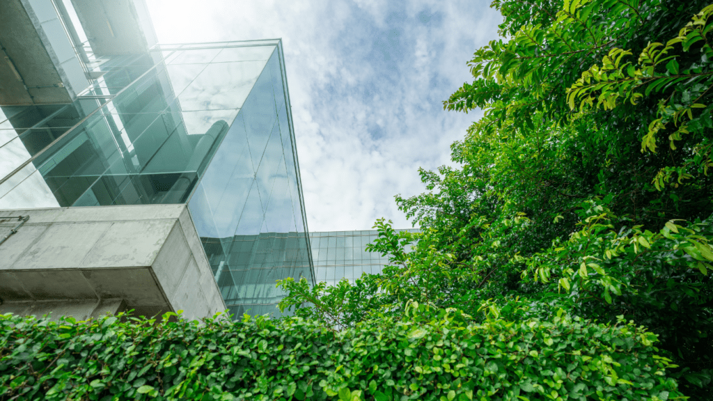 building with tree