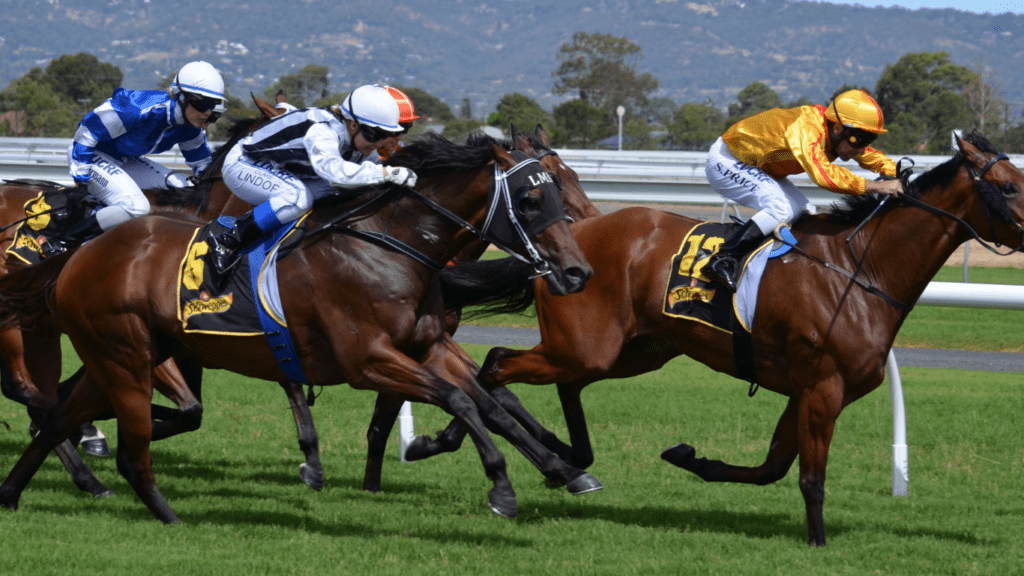 jockeys are racing horses down the track