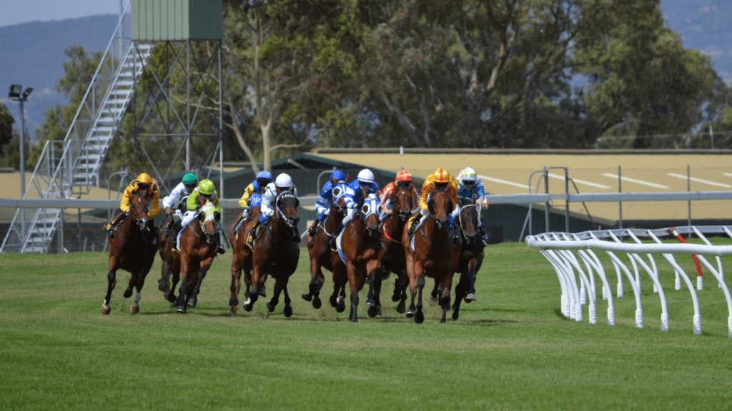 image of a horse racing