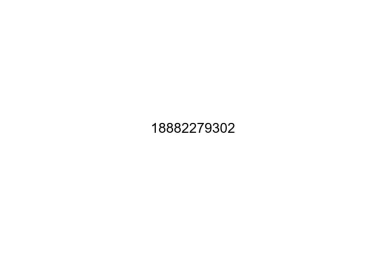 18882279302