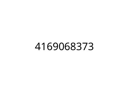 4169068373