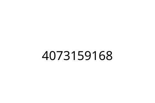 4073159168