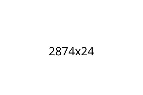 2874x24
