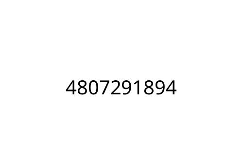 4807291894