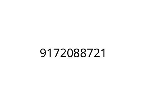 9172088721
