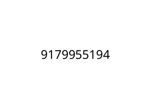 9179955194