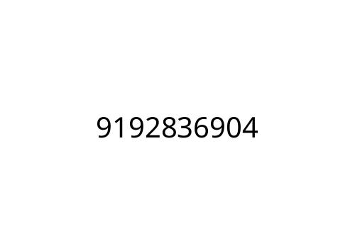 9192836904