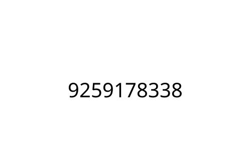 9259178338