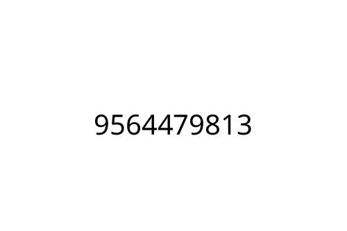9564479813