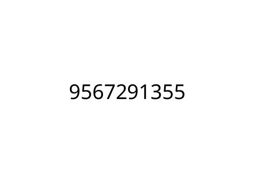 9567291355