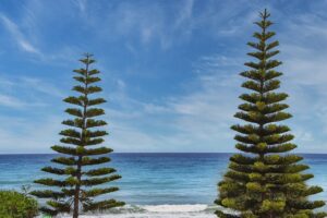 devin booker 3 pointers last game