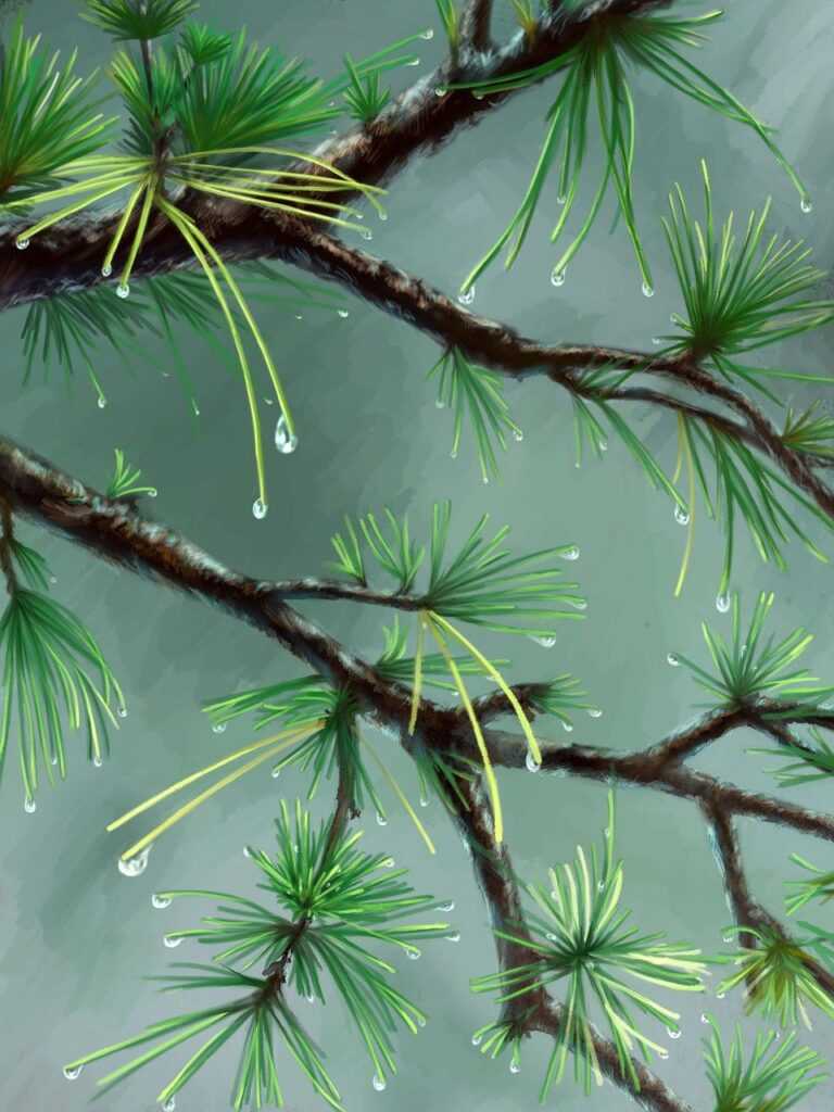 pc gaming chronotriggerpatchv19y32c1