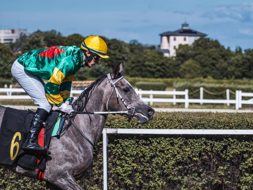 injuries in sports betting