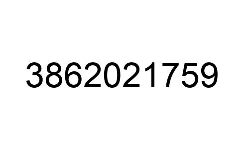 3862021759