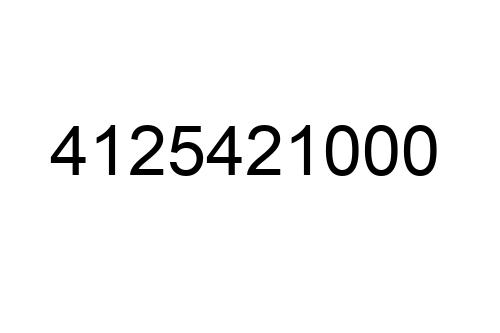 4125421000