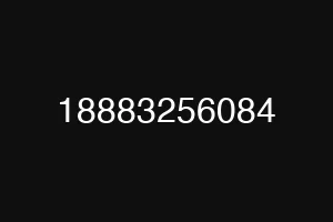 18883256084