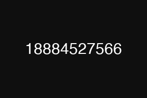 18884527566