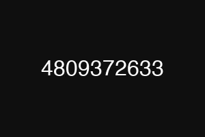 4809372633