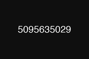 5095635029