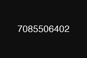 7085506402