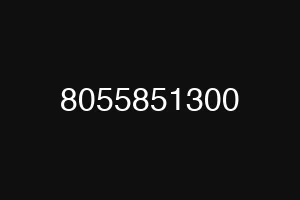 8055851300