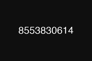 8553830614