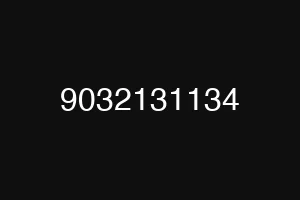 9032131134