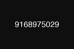 9168975029