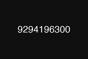 9294196300