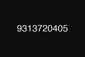 9313720405