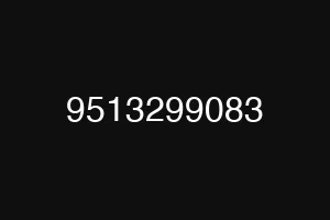 9513299083