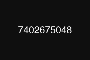 7402675048