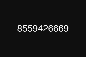 8559426669