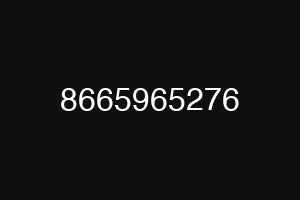 8665965276