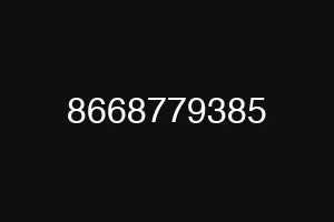 8668779385